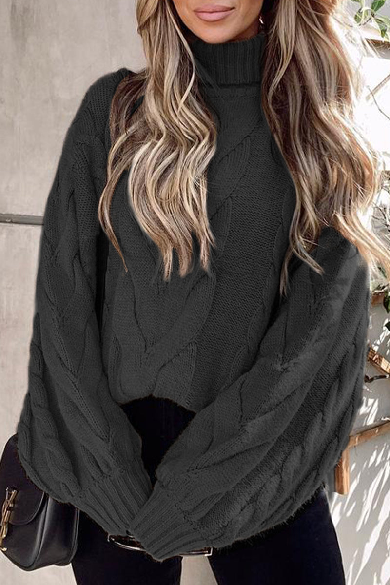 Street Color Turtleneck Sweaters(5 Colors)