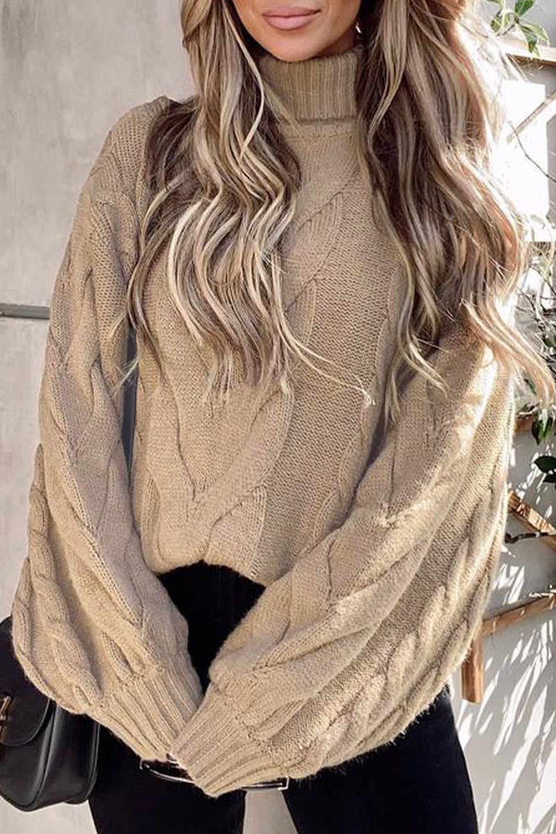 Street Color Turtleneck Sweaters(5 Colors)