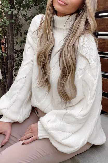 Street Color Turtleneck Sweaters(5 Colors)